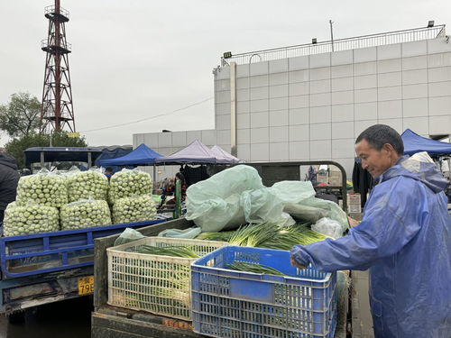 北京新發地市場 助推商戶打造農產品品牌，提升初級農產品價值