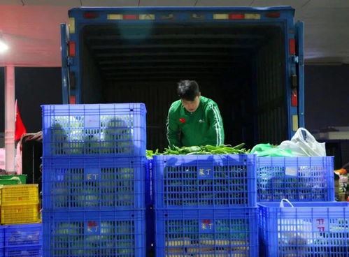 菜丁樂昌農產品交易中心 大型農副產品批發市場火爆招商，助力初級農產品流通