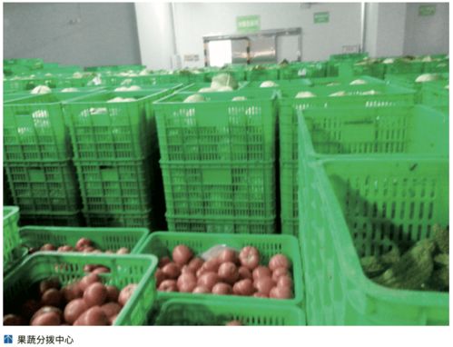 農(nóng)產(chǎn)品冷鏈‘最先一公里’ 基礎(chǔ)設(shè)施亟待發(fā)展，破解初級農(nóng)產(chǎn)品保鮮難題