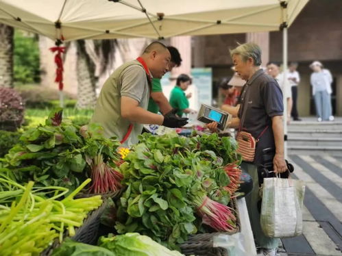 高溫送清涼 菜籃守安康——便民市集讓平價菜與優(yōu)質(zhì)農(nóng)產(chǎn)品走進社區(qū)